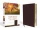 Amplified Bible-Am-Large Print