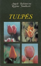 Tulpės