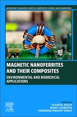 Magnetic Nanoferrites and Their Composites