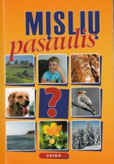 Mįslių pasaulis