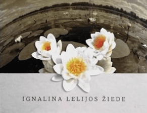 Ignalina lelijos žiede