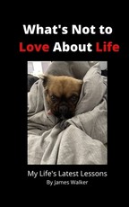 What's Not to Love About Life
