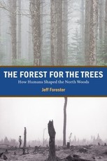 The Forest for the Trees