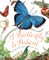 A Butterfly Is Patient