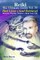 Reiki The Ultimate Guide Vol. 4 Past Lives & Soul Retrieval Remove Psychic Debris & Heal Your Life