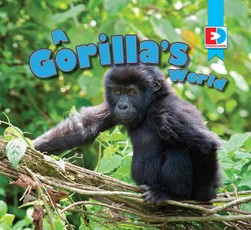 A Gorilla's World