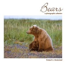 Bears