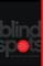Blind Spots - What You Don`t See Can Hurt You