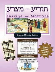 Bar/Bat Mitzvah Survival Guides