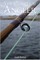 Compleat Angler