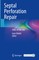 Septal Perforation Repair