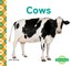 Cows