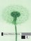 Energy Efficiency Policies