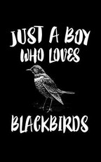 Just A Boy Who Loves Blackbirds