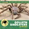 Goliath Birdeaters in the Wild