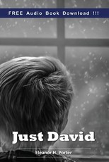 Just David (Include Audio book)