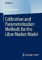 Calibration and Parameterization Methods for the Libor Market Model