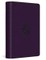 ESV Large Print Bible