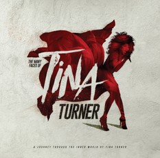 Vinilinė plokštelė LP „The Many Faces of Tina Turner“ (Transparent Red Vinyl) (2LP)