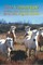 France's Camargue, Arles, Les Saintes Maries de la Mer & Aigues Mortes