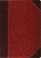 Study Bible-ESV-Portfolio Design