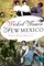 Wicked Women of New Mexico