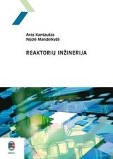 Reaktorių inžinerija
