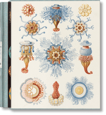 The Art and Science of Ernst Haeckel