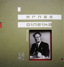 Architektas Arnas Dineika