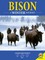 Bison: A Winter Journey