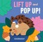 Lift Up and Pop Up - Goodnight