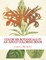 Color Me Botanicals IV