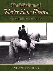 Wisdom of Master Nuno Oliveira