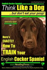 English Cocker Spaniel, English Cocker Spaniel Training AAA AKC