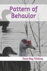 Pattern of Behavior