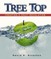 Tree Top