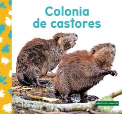 Colonia de Castores (Beaver Colony)