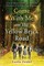 Come With Me on the Yellow Brick Road
