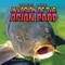 Invasion of the Asian Carp