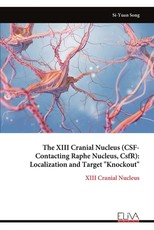 The XIII Cranial Nucleus (CSF-Contacting Raphe Nucleus, CsfR)