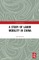 A Study of Labor Mobility in China