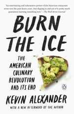 Burn the Ice