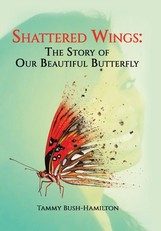 Shattered Wings
