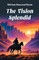 The Vision Splendid