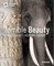 Terrible Beauty: Elephant - Human - Ivory