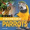 Pandemonium of Parrots