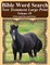 Bible Word Search New Testament Large Print Volume 49