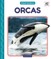 Orcas