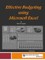 Effective Budgetingusing Microsoft Excel