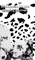 Dalmatian drawing writing designer sir Michael Huhn creative journal